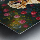 Pembroke Corgi Puppy Ready To Jump For Flying Frisbee Metal print