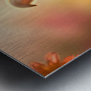 Chihuahua Puppy Discovers A Yellow Dandelion Metal print