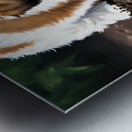 Shih Tzu Puppy Ready To Help In The Garden Metal print