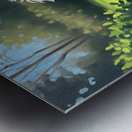 Shih Tzu Puppy Spots The Perfect Tennis Ball Metal print