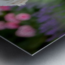 Proud Poodle Puppy Masters Stay Command Metal print