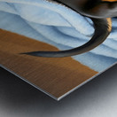 Sleepy Dachshund Puppy Napping Under Cozy Blue Blanket Metal print