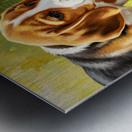 Beagle Puppy Discovers Garden Surprise Metal print