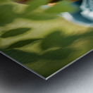 Peaceful Dachshund Puppy Sleeps In Basket Bed Metal print