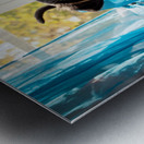 Brave Rottweiler Puppy Sits Confidently By Green Curtains Metal print