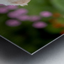 Poodle Puppy Ready To Learn Stay Command Metal print