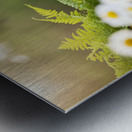 Happy French Bulldog Puppy Rests In Shade Under His Hat Metal print