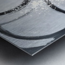 Border Collie Puppys First Cooking Adventure Metal print