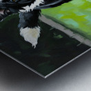 Border Collie Puppy Ready To Chase Metal print