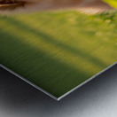 Happy Pomeranian Puppy After Learning Handshake Metal print