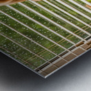 Golden Retriever Puppy Watches Rain Through Window Metal print