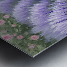 Border Collie Puppy Rests After Adventure With Siblings Metal print