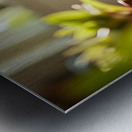 Sleepy Cane Corso Puppy Dreams Of Christmas Adventures Metal print