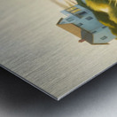 French Bulldog Puppy Wrapped In Beach Towel After Swimming Metal print