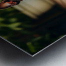 Boston Terrier Puppy Bouncing In Garden Metal print