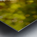 Golden Retriever Puppy Discovers Ice Cream Treat Metal print