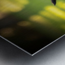 German Shepherd Puppy Returns Pinecone For Another Round Metal print