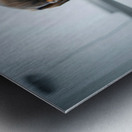 Relieved Dachshund Puppy After The Weighing Visit Metal print