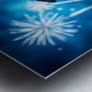 Rottweiler Puppy Completes Fireworks Adventure Metal print