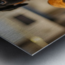 Rottweiler Puppys First Vet Visit Metal print