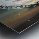 Happy Poodle Puppy After Bubble Adventure Metal print