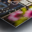 Bulldog Puppy Waits By School Gate Metal print