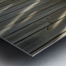 Beagle Puppy Discovers His Superhero Mask Metal print