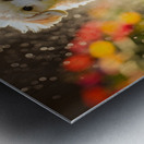 Poodle Puppy Discovers Garden Sprinkler Metal print