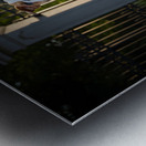 Bulldog Puppy Jumps With Joy At School Gate Metal print