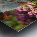 Free Poodle Puppy Sits By Overturned Watering Can Metal print