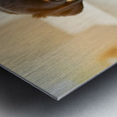 Brave Puppy Completes The Weighing Metal print