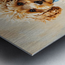 Poodle Puppys Sweater Adventure Begins Metal print