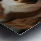 Bulldog Puppy Discovers The Laundry Basket Metal print