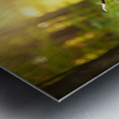 German Shorthaired Pointer Puppy Befriends Trail Horse Metal print