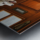 Happy Poodle Puppy Sits By Mail Slot Metal print