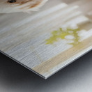 Poodle Puppy Discovers Colorful Paint Containers Metal print