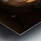 Beagle Puppy Listens From Hidden Box Fort Metal print