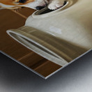 Corgi Puppy Gets Stuck In Cookie Jar Metal print