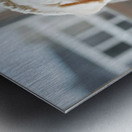 Bichon Frise Puppy Peeking From Sweater Sleeve Metal print