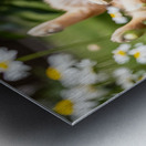 Herby Golden Puppy After Rolling Session Metal print