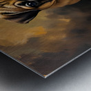 Pug Puppy Falls Asleep After Evening Entertainment Metal print