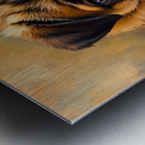 Pug Puppy Discovers The Amazing Moving Picture Box Metal print