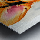 Satisfied Corgi Puppy After Spaghetti Meal Metal print