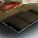 French Bulldog Puppy Discovers Spaghetti Bowl Metal print