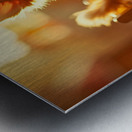 Chihuahua Puppy Discovers The Perfect Rocking Chair Metal print