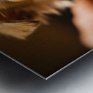 Chihuahua Puppy Waits For Nail Trimming Appointment Metal print