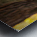 Playful Cane Corso Puppy Circles Around Tree Base Metal print