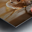 Golden Puppy Happy With New Fence Friend Metal print