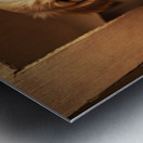 Golden Retriever Puppy Discovers Perfect Hiding Spot Metal print