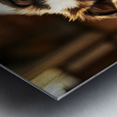 Australian Shepherd Puppy Discovers Perfect Hiding Spot Metal print